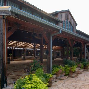 Terrace side view_0125