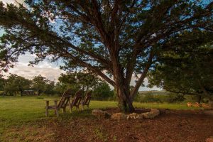 Reflect – Reveal – Receive – Redeem Retreat